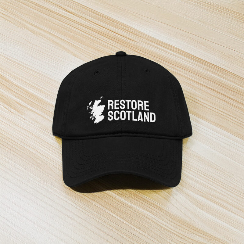 Printed Classic Fit Restore Britain Party Hat