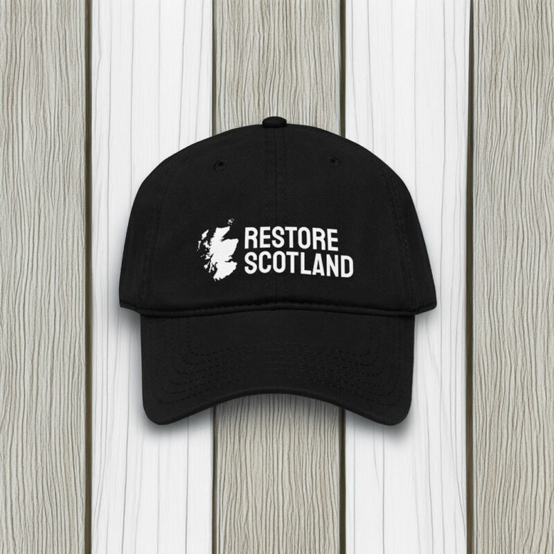 Printed Classic Fit Restore Britain Party Hat